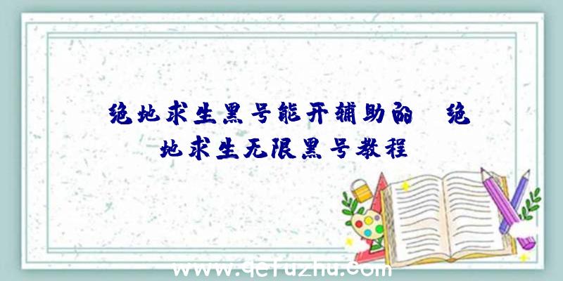 「绝地求生黑号能开辅助的」|绝地求生无限黑号教程